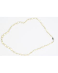 Contemporary Single Strand Pearl Necklace with White Gold Clasp