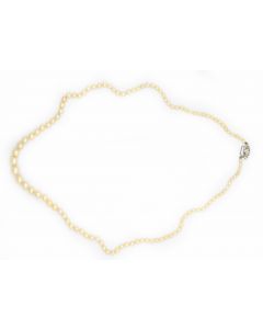 Contemporary Cultured Pearl Necklace GIA Report 6204746283